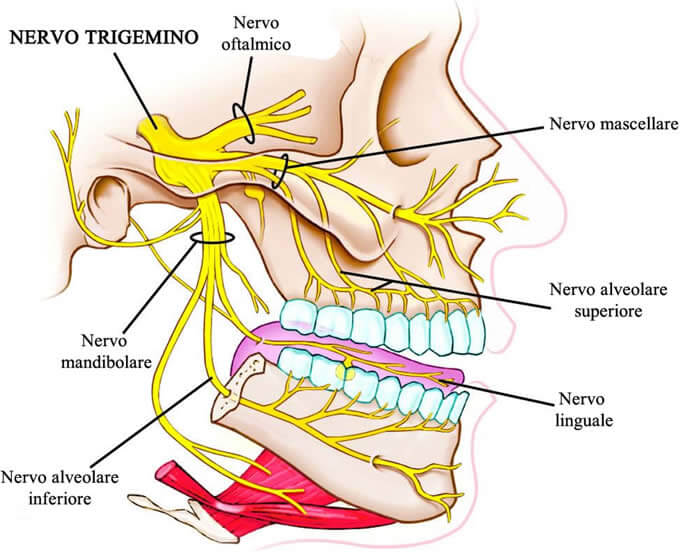 DOLOR Y TRASTORNOS H2